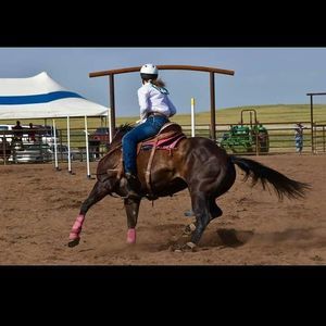 Meet your Posher, Jaycee